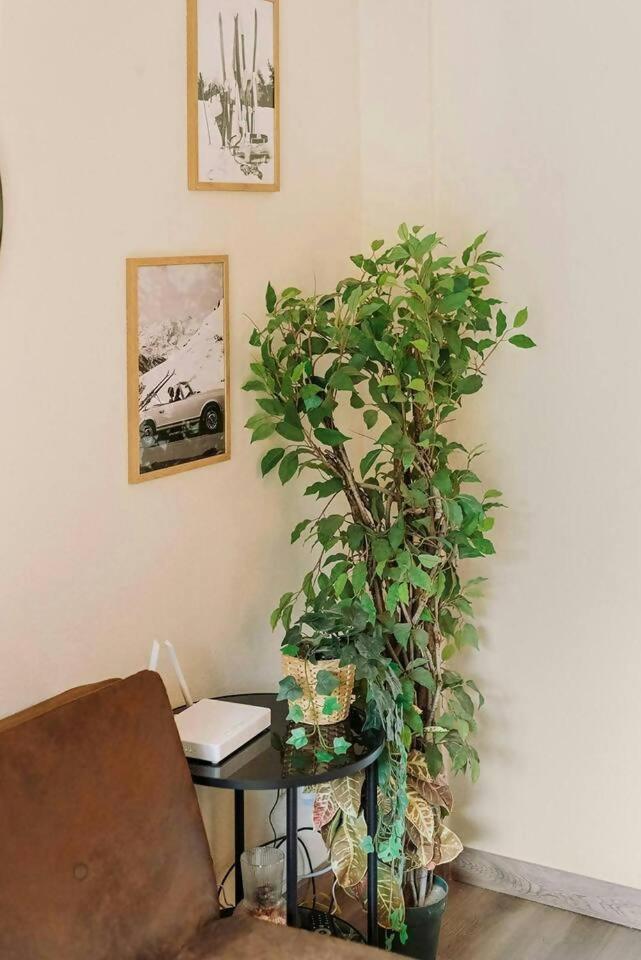 La Casita Del Arbol Sallent de Gállego Exterior foto